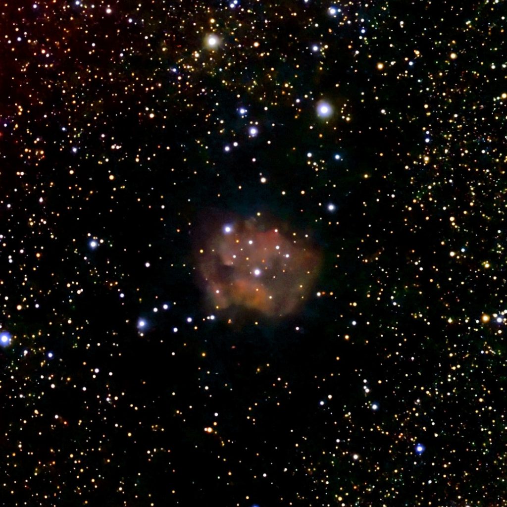 IC5146_2025/11/01