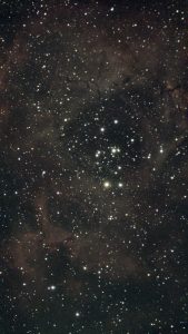 NGC2240_20251130_処理前