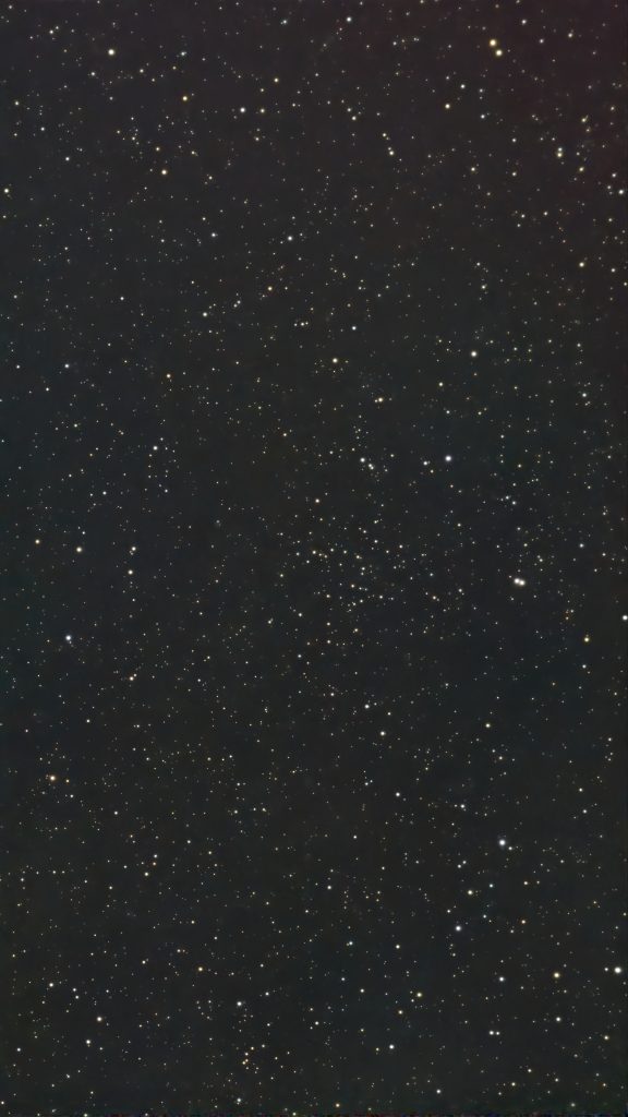 NGC2479_2025/11/19
