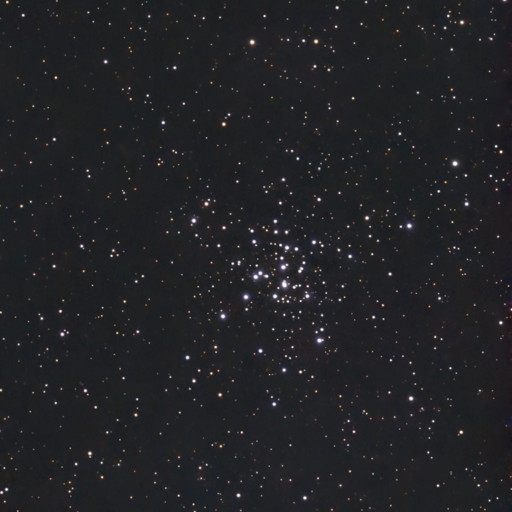 M36/NGC1960_2026/01/24
