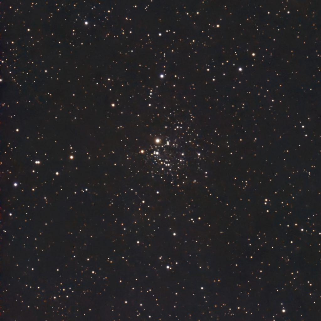 NGC2439_2026/01/08